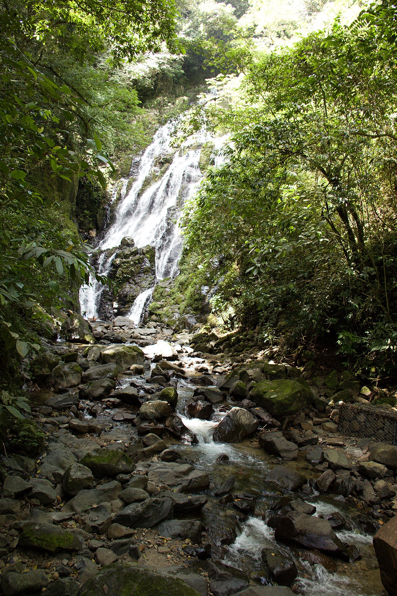 Cascada del Chorro El Macho entre bosque nuboso en El Valle de Antón (Foto: Ayaita, CC BY-SA 3.0)